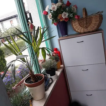 Yvonne's Place * بليد